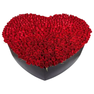 Corazón Infinito – Arreglo de Rosas Rojas